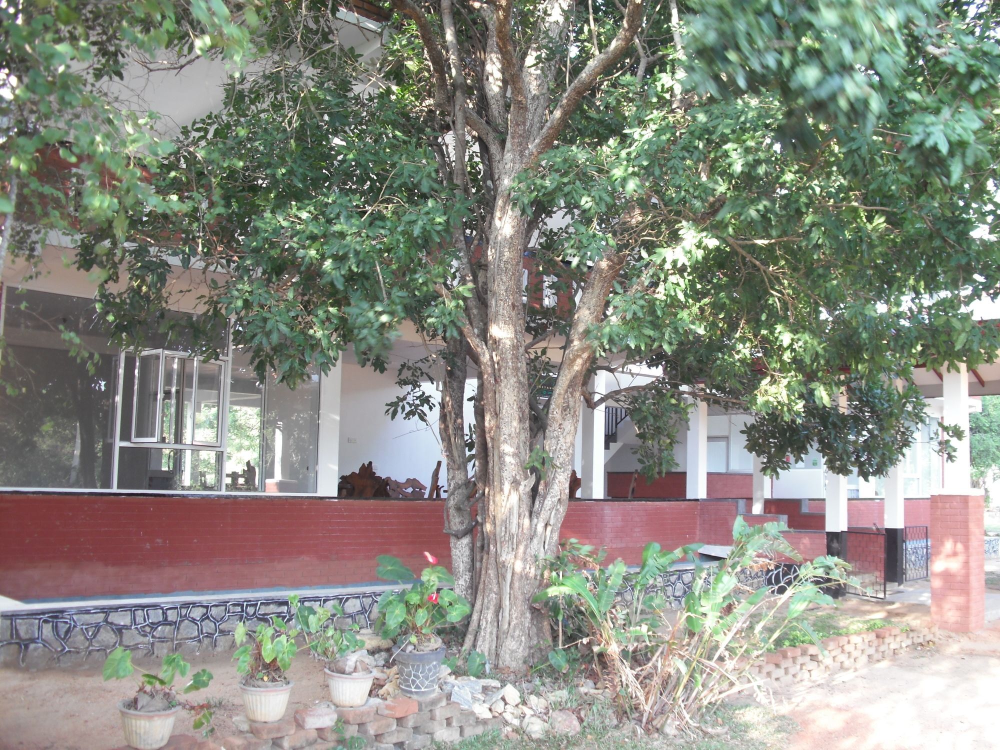 Sinhagiri Villa Sigiriya Exterior photo