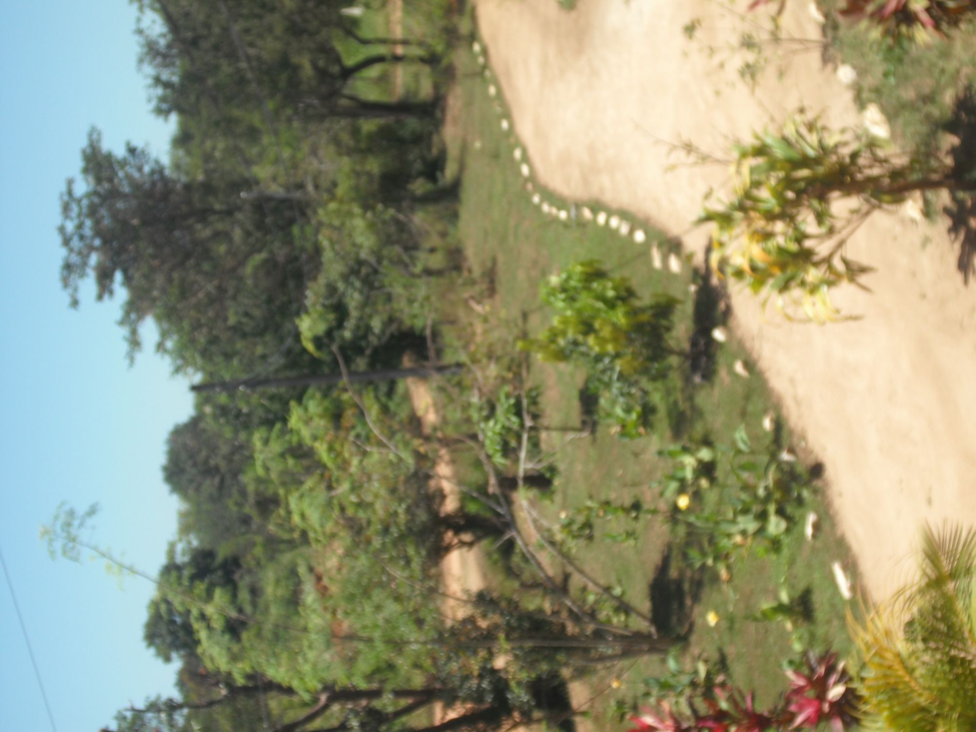 Sinhagiri Villa Sigiriya Exterior photo